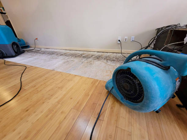 Professional Flood Damage Cleanup technician working in Channahon, IL
